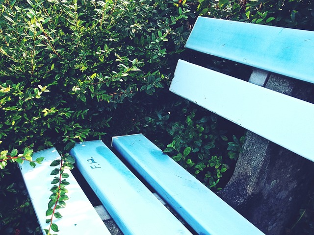 马尔代夫教 马尔代夫教