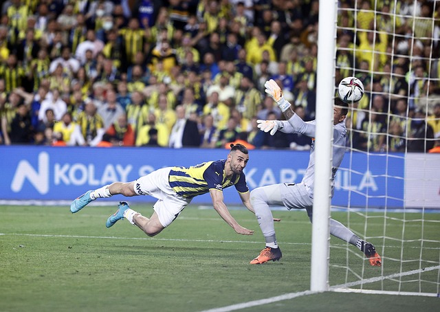 媒体上的热 媒体上的热