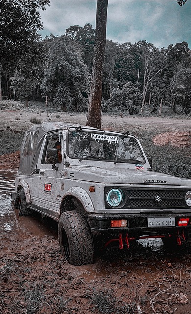 还吸引更多 还吸引更多