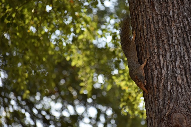 想並為之奮 想並為之奮