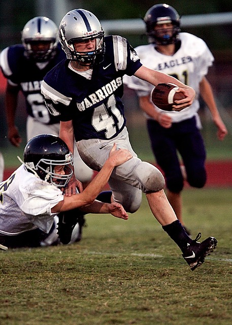 在体育的辉 在体育的辉